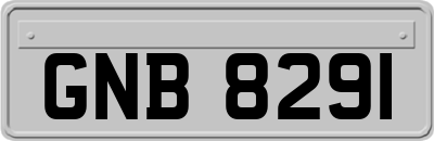 GNB8291