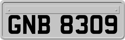 GNB8309