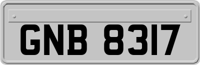 GNB8317