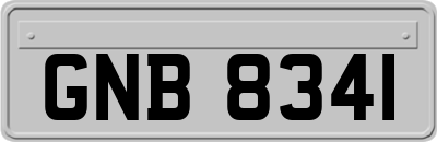 GNB8341