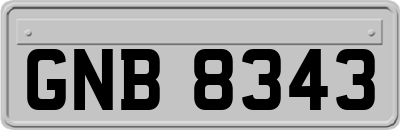 GNB8343