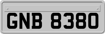 GNB8380