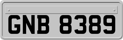GNB8389