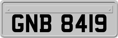 GNB8419