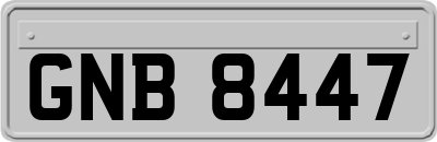 GNB8447