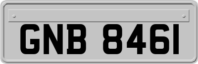GNB8461