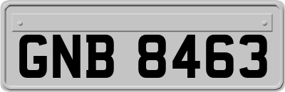 GNB8463