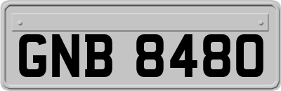 GNB8480