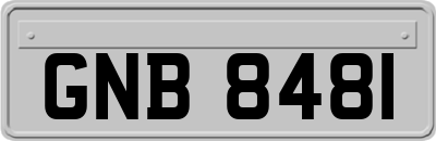 GNB8481