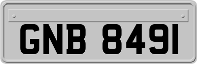 GNB8491