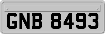 GNB8493