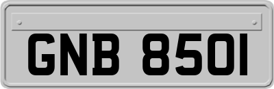 GNB8501