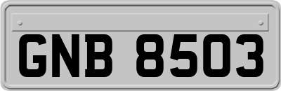 GNB8503