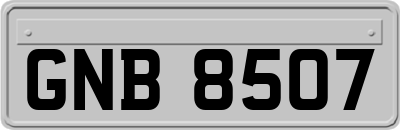 GNB8507