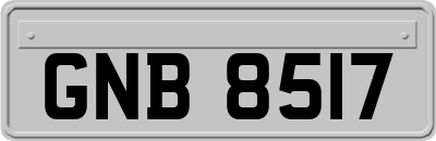 GNB8517