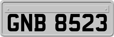 GNB8523