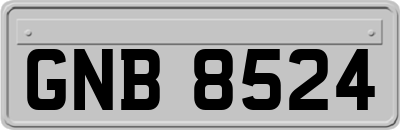 GNB8524