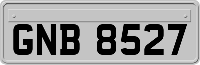GNB8527