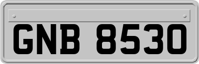 GNB8530