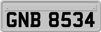 GNB8534
