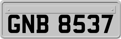 GNB8537