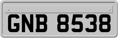 GNB8538