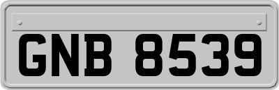 GNB8539
