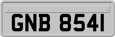 GNB8541