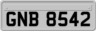 GNB8542