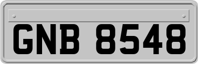 GNB8548