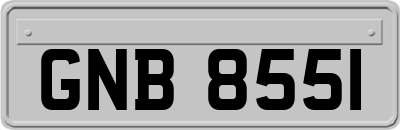 GNB8551