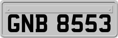 GNB8553