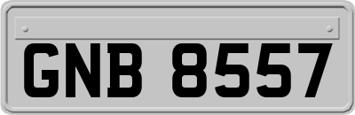 GNB8557