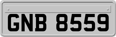 GNB8559