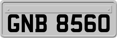 GNB8560