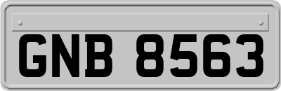 GNB8563