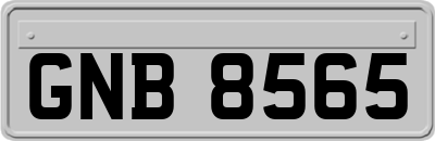 GNB8565