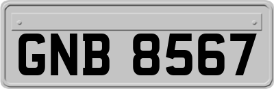 GNB8567