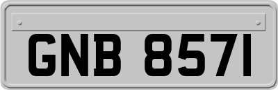 GNB8571