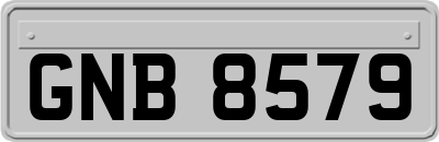 GNB8579