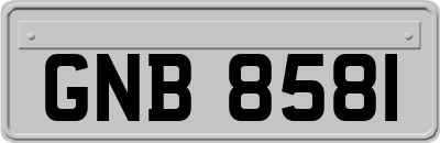 GNB8581
