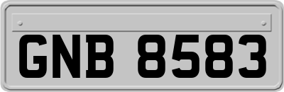 GNB8583