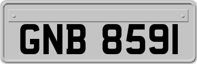 GNB8591