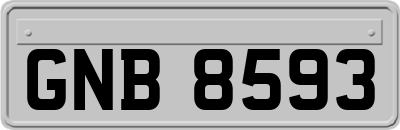 GNB8593