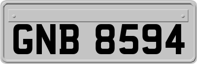 GNB8594