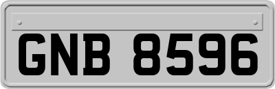 GNB8596