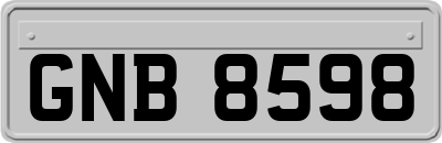 GNB8598