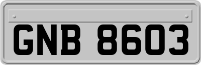 GNB8603