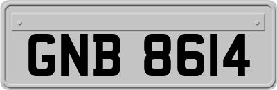 GNB8614