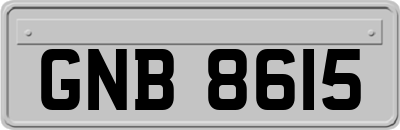 GNB8615